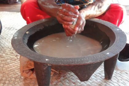 Tripping on Kava, the 3,000 Year Old Fijian Psychoactive Drug