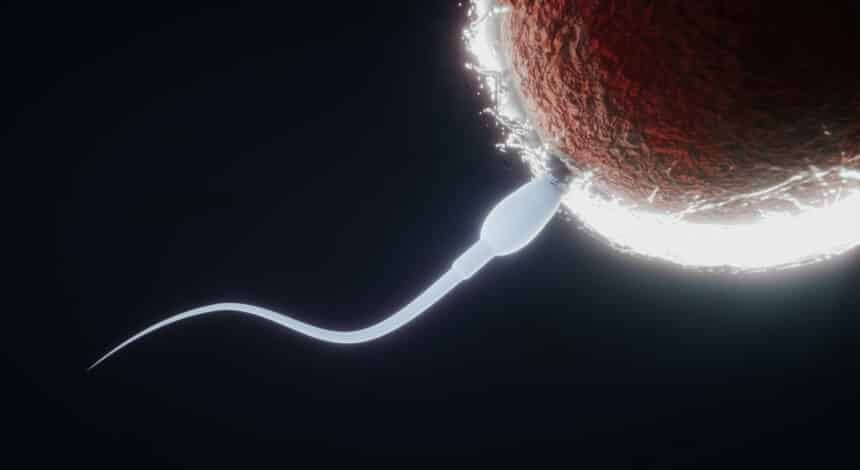 The World Is Experiencing An Infertility Crisis. And Experts Warn of Extinction